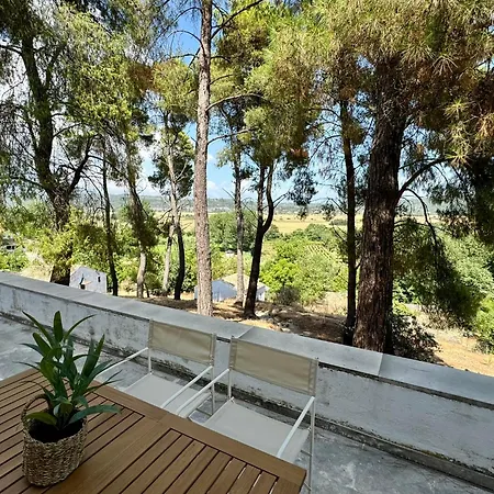 Charming For Nature Lovers In Theotoky Estate Vineyard And Olive Mill