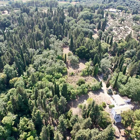 Charming For Nature Lovers In Theotoky Estate Vineyard And Olive Mill Villa