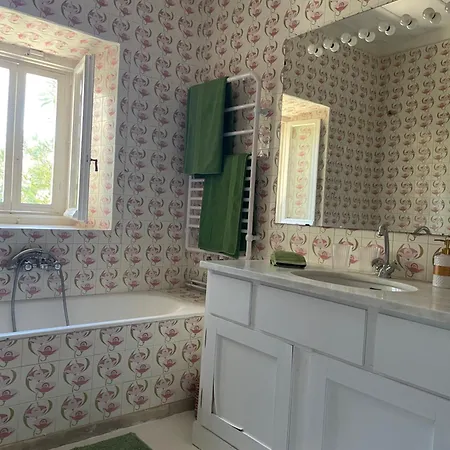 Villa Charming For Nature Lovers In Theotoky Estate Vineyard And Olive Mill